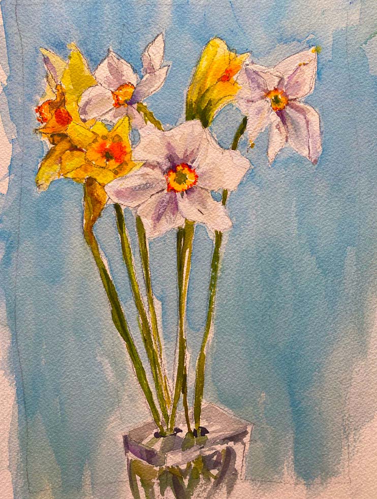 Daffodils
