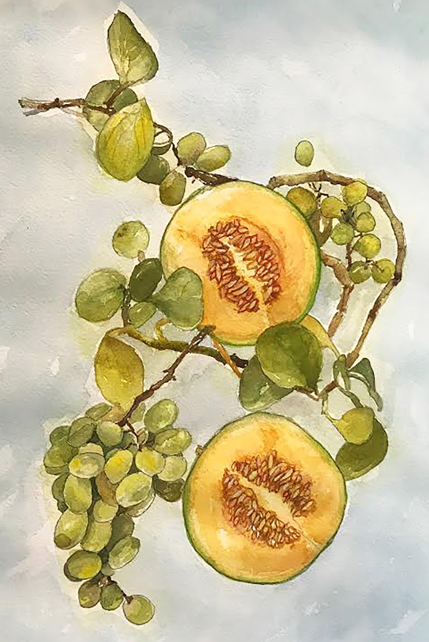Melon with Grapes