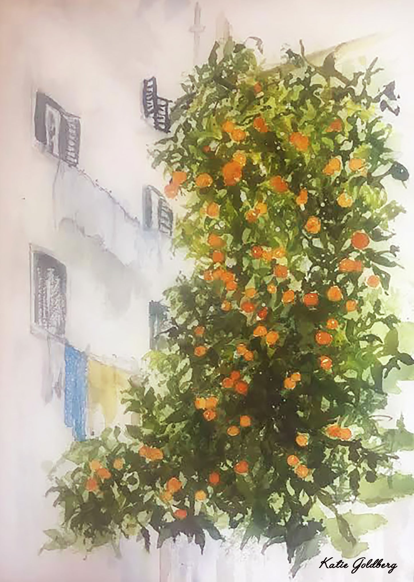 Orange Tree